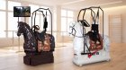 Иппотренажёры Fortis: обзор линейки — медицинские 102, 202, P1-H, P2-H и спортивные P1-R, P2, P3, Soul