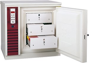 Биомедицинский морозильник 6481 GFL _1