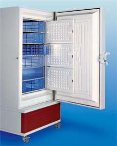 Биомедицинский морозильник 6485 GFL _1