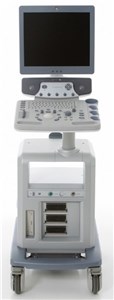 Мобильный ультразвуковой сканер LOGIQ P6 Pro BT11 GE Healthcare _1