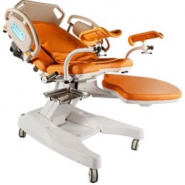 Dixion Акушерская кровать DH-C101A05
