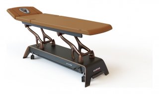 Массажный стол Gymna ONE D6
