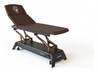 Массажный стол Gymna ONE T7