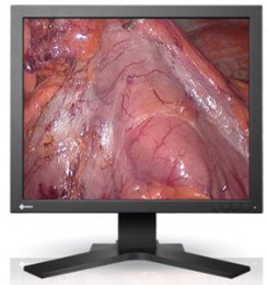 Монитор для видеоэндоскопических манипуляций SCD 19102 C Eizo